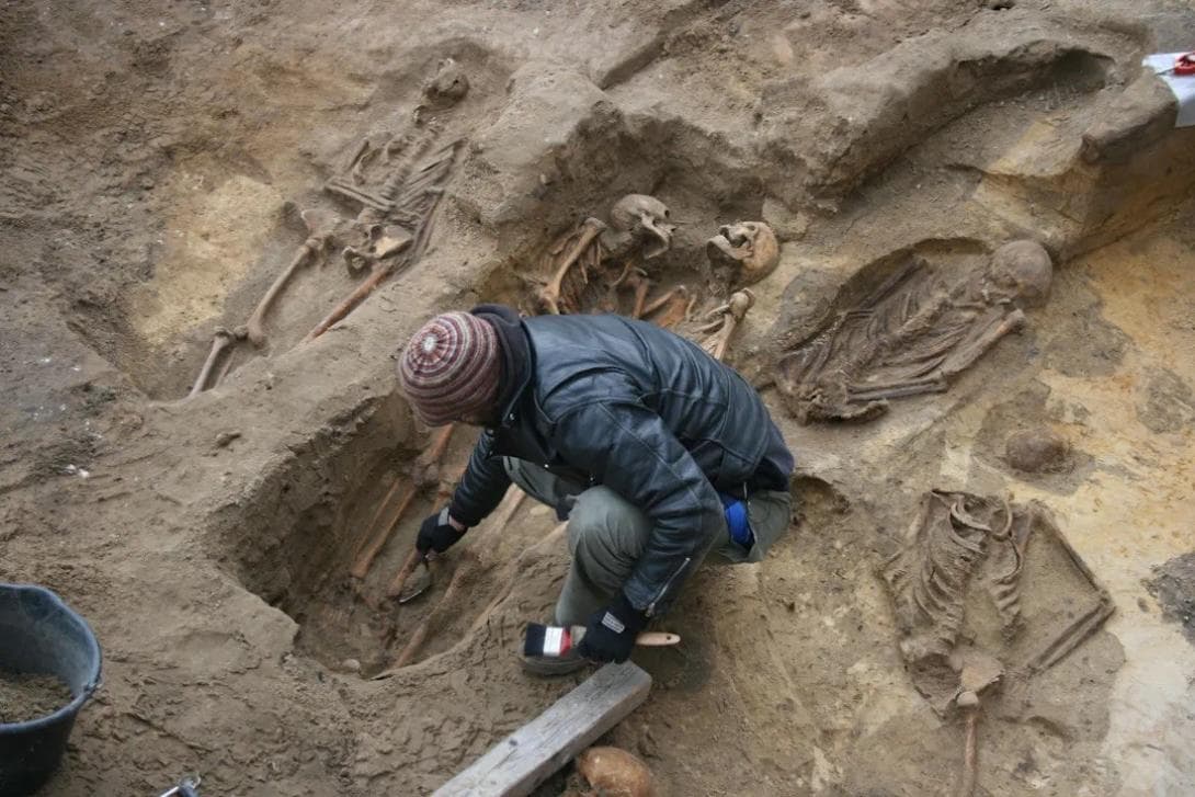 Archäologe beim Freilegen eines Skeletts auf dem Berliner Petriplatz